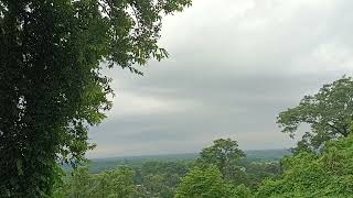 Horizons  Gorumara National Park [upl. by Nimad]