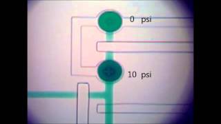 Microfluidic serial digital to analog pressure converter for arbitrary pressure generation and [upl. by Ahsenom718]