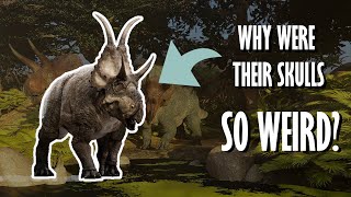 Everything you need to know about Ceratopsians [upl. by Nnalyrehs]