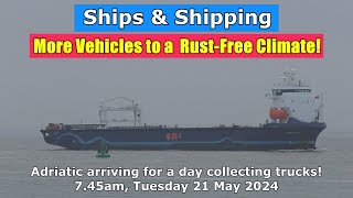 Collecting Old Trucks for a RustFree Climate Adriatic arriving for Harwich 21 May 2024 [upl. by Bryn]