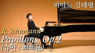 RSchumann  Papillons Op2슈만  빠삐용  피아노 김태형 [upl. by Rramal]