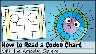 How to Read a Codon Chart [upl. by Atwahs]