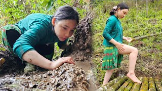 The girl alone went through hardships to find water  green forest life  Hoang Thi Mai [upl. by Lira63]