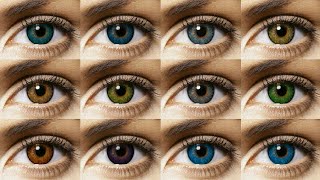 Freshlook Colorblends All 12 Colors Contact Lens Review [upl. by Mccahill]