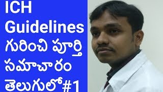 How to know about ICH Guidelines in Telugu  ICH Guidelines in Pharma Industry  Pharma Guide [upl. by Oiralih]