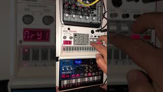 Korg Volca NuBass  Volca Sample  Acid House Live Session [upl. by Pablo170]