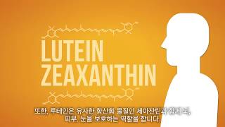 FloraGLO Lutein for Eye Health Korean [upl. by Elolcin]