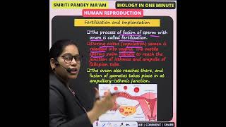 24 FERTILIZATION neet upsc reproductionsystem humanreproduction science biologyclass12 [upl. by Amadis]