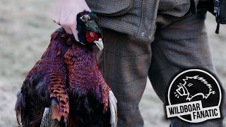 Flinten Tweed und Federn  Fasanenjagd in England trailer huntondemand pheasanthunting [upl. by Yelahc200]