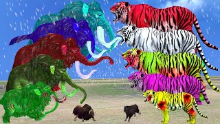 10 Zombie Tigers vs Giants Monster Fights on Snow Mountain Mammoth Saves Cow Animals Revolt Battle [upl. by Valleau]