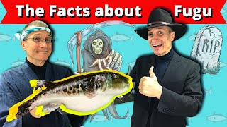 The Facts about Fugu Full Version  Pufferfish Blowfish  Japans Deadliest Dish  Poisonous fish [upl. by Latterll819]