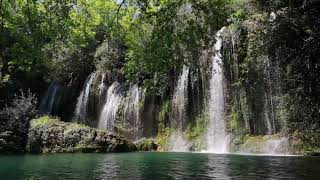 Wasserfallgeräusche mit Vogelgezwitscher im Wald Naturgeräusche zum Einschlafen amp Entspannen [upl. by Aydin]