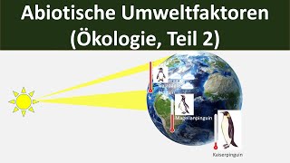 Abiotische Umweltfaktoren Überblick  Temperatur Wasser Licht etc Biologie Ökologie 210 [upl. by Atnuahsal]