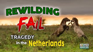 Rewilding Fail  Tragedy in the Netherlands  Oostvaardersplassen [upl. by Seften]