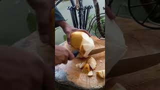 Coconut Chopping ASMR asmr ytshort shorts short [upl. by Olympie]