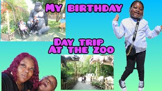 DAY VLOG KIDS GO ZOO Paradise Park Hertfordshire amp southend seaside [upl. by Rawdan]