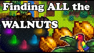 ALL GOLDEN Walnuts amp Solving 2 HIDDEN Puzzles  Stardew Valley 15 [upl. by Galen190]