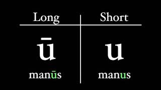 The Latin Alphabet  Vowel Pronunciation [upl. by Toback]