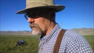 Sainfoin  an Alternative to GMO Alfalfa at Alderspring [upl. by Monahon]