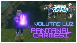 DÓNDE encontrar todas las VOLUTAS DE LUZ de el PANTANAL CARMESÍ en Pokémon Leyendas de Arceus [upl. by Kcirdot]