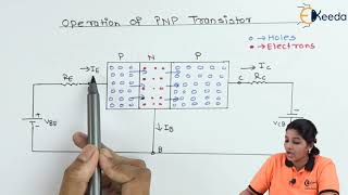 Operation of PNP Transistor  Bipolar Junction Transistor  Basic Electronics [upl. by Aramas]