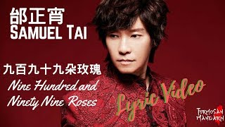 九百九拾九朵玫瑰 999 Roses  邰正宵 Samuel Tai  Chinese  Pinyin  English Lyrics 歌詞 [upl. by Ahtivak140]