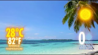 Maldives Weather  When is the best time to travel to the Maldives [upl. by Aguste621]