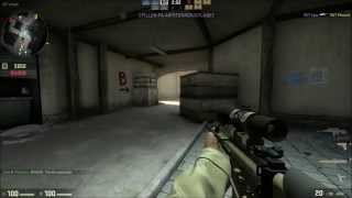 Crosshair Hack for SCAR20 in CSGO [upl. by Philipa]