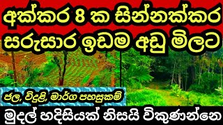 මුදල් හදිසියක් නිසා විකුණන අක්කර 8 ක සින්නක්කර ඉඩම  Aduwata idam  Agriculture land  Land for sale [upl. by Enecnarf]