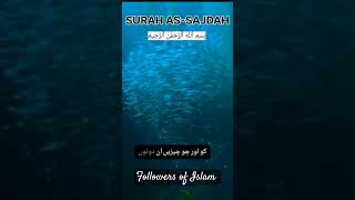 Surah As Sajdah translation followislamfullqurantranslationquranchaptertranslationquranandislam [upl. by Lampert476]