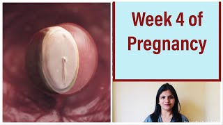 Week 4 of Pregnancy  Weekly Pregnancy Tips in Kannada 1st Month of Pregnancy [upl. by Groot535]