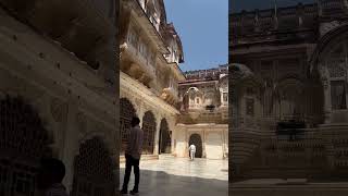 Mehrangarh Fort॥मेहरानगढ़ किला mehrangarhfortmehrangarhfortsjodhpurshortshortsfeedingfeed [upl. by Nally965]