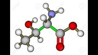 Threonine  Protein Collagen Elastin Tooth Enamel Fat Metabolism Liver Immunity Indigestion [upl. by Elsa]