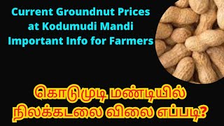 Current Groundnut Prices at Kodumudi Mandi Important Info for Farmers  கொடுமுடி நிலக்கடலை விலை [upl. by Bal]