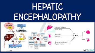 Hepatic Encephalopathy  portal systemic encephalopathy Explained [upl. by Eolhc]