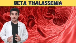 Beta thalassemia major disease 3d animation  pathology cause  class 12 cbse  kya hota hai  hindi [upl. by Nileuqay461]