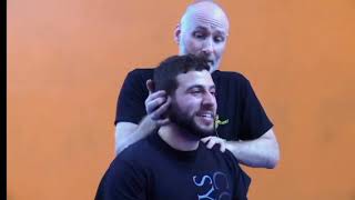 ICSA Certification Level 5Part 4 Grappling  4 [upl. by Laughton908]