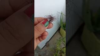 DIY Scrub for Product buildup Hair shorts viralvideo hair pratibha0376 [upl. by Hillegass]