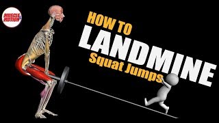 Landmine Squat Jumps  Anatomical Analysis [upl. by Seni]