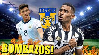 🚨Tigres VA por este Par de BOMBAZOS Internacionales 💣🔥 [upl. by Marlane]