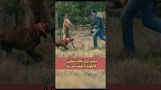 Kangaroo is fighting with the dogسیلی خوردن کانگورو از دست صاحب سگ [upl. by Yras810]