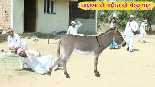 વાઘુભા ને ગધેડા એ મેલ્યુ પાટુ l Vaghubha Na Video l Kadvabha Ni Comedy [upl. by Nnhoj577]