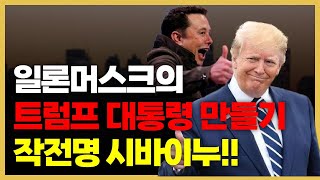 시바이누와 일론 머스크 트럼프 대통령만들기 작전명 시바이누 [upl. by Feinleib]