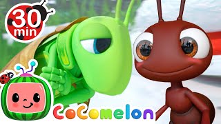 The Ant and the Grasshopper  More CoComelon Animal Time  Animals for Kids [upl. by Kosel]