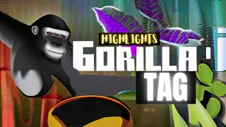 GORILLA TAG Highlights Episode 2 [upl. by Einavoj393]