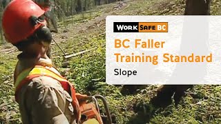 BC Faller Training Standard  Slope 11 of 17 [upl. by Urbas366]