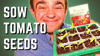 How To Sow Tomato Seeds To Maximise Germination [upl. by Haletta]