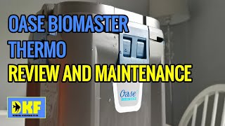 Oase Biomaster Thermo review and maintenance [upl. by Raji]