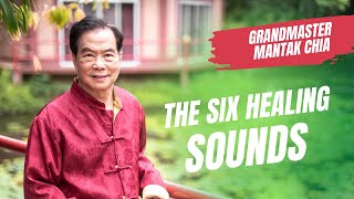 The Six Healing Sounds what healthy organs sound like Taoist practice with Grandmaster Mantak Chia [upl. by Astto543]