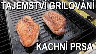 Jak na kachní prsa na grilu [upl. by Preston]